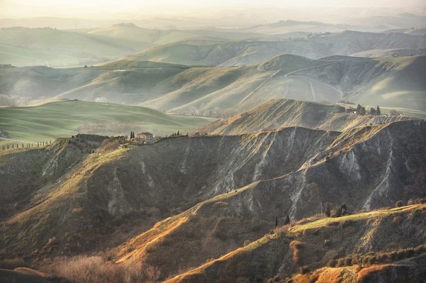 Wie stelle ich eine Balzunterstützung für Zebrafinken im Käfig sicher?